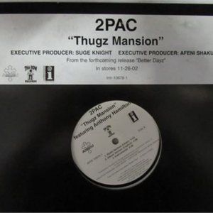 2PAC "Thugz Mansion" + "Until the End of Time" Pre-release promo